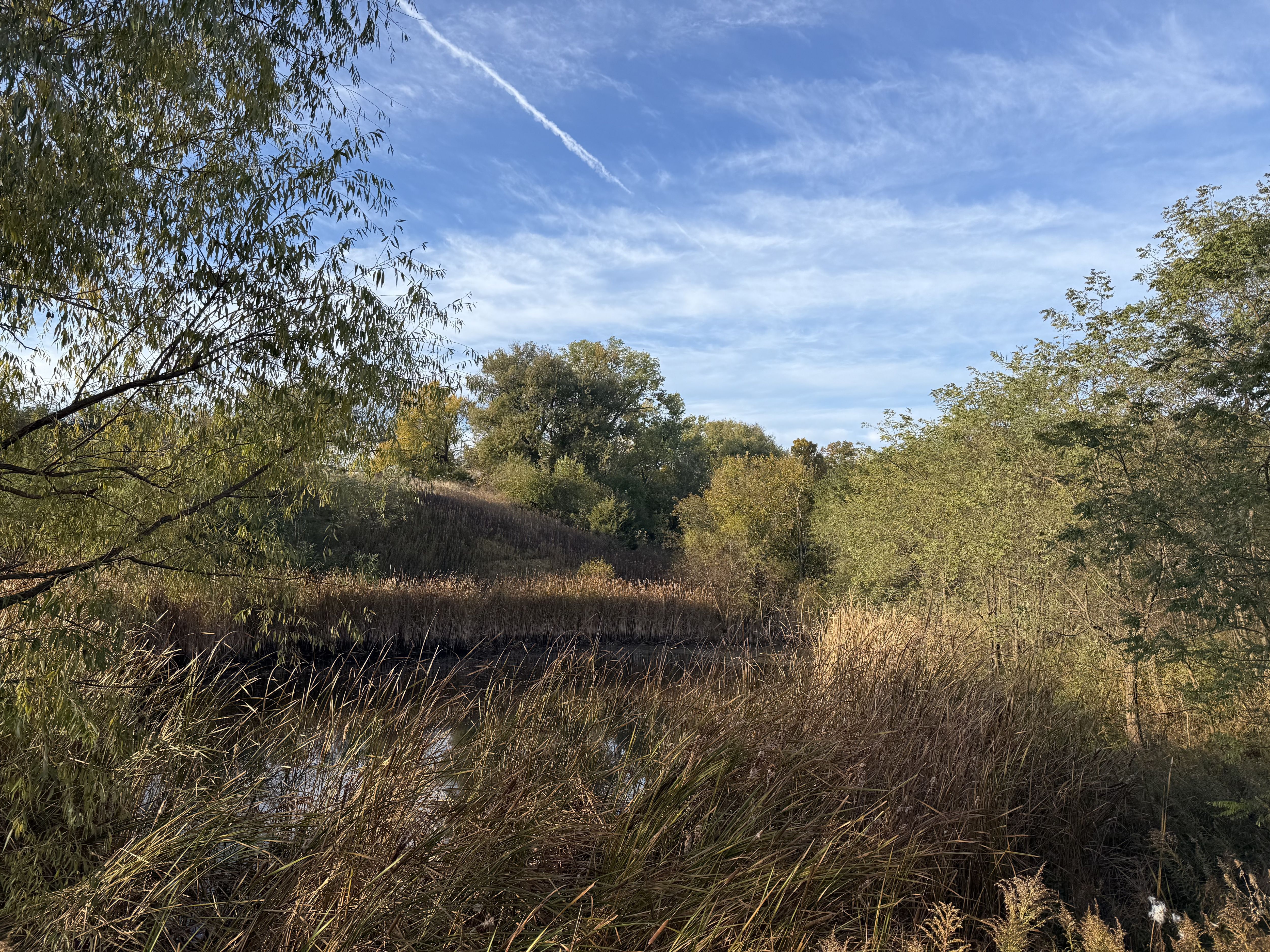 Listing Photo: Photo Oct 30 2025, 8 45 25 AM